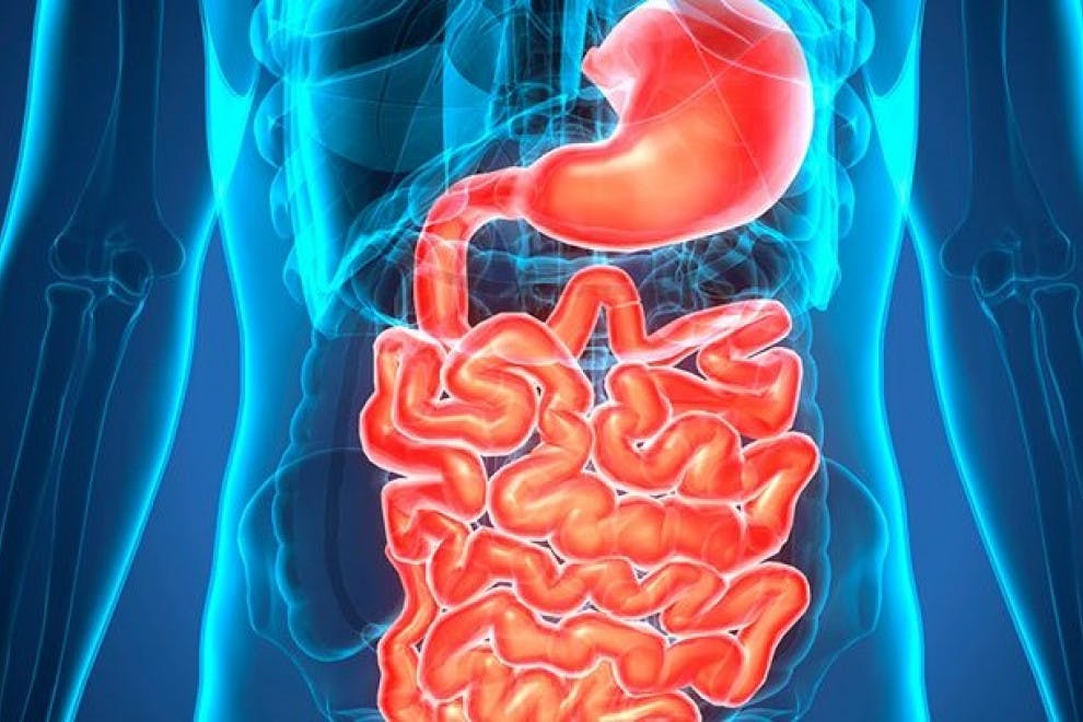 Las 15 enfermedades del aparato digestivo más comunes