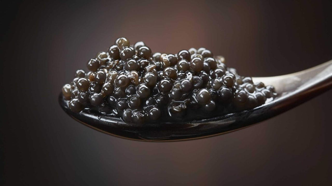 Caviar beluga iraní