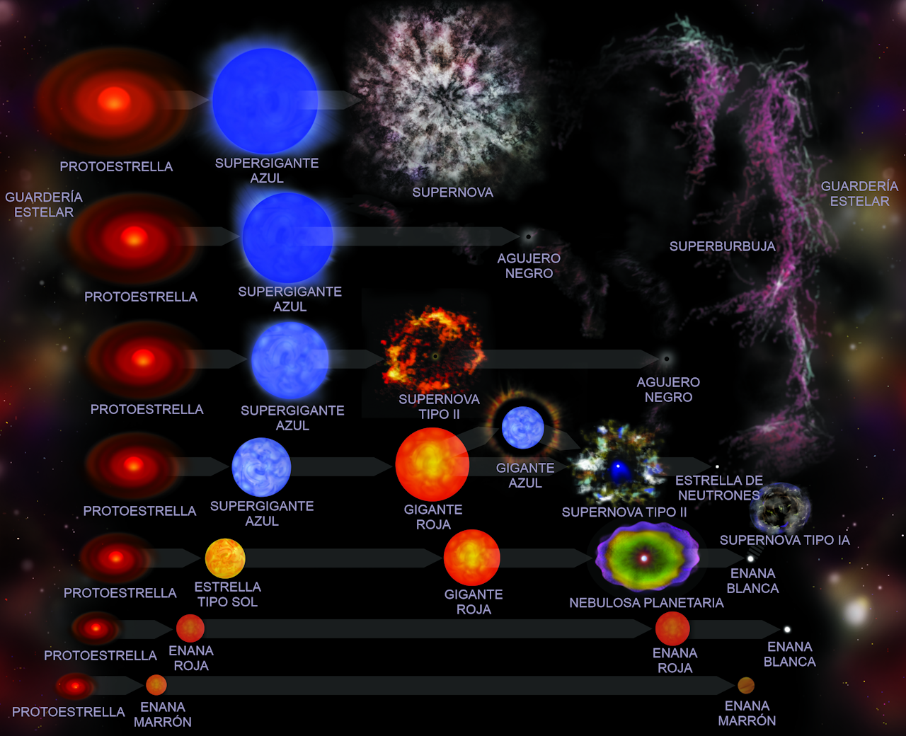 lb Detectar Saga Las 21 fases de vida de una estrella (y sus características)