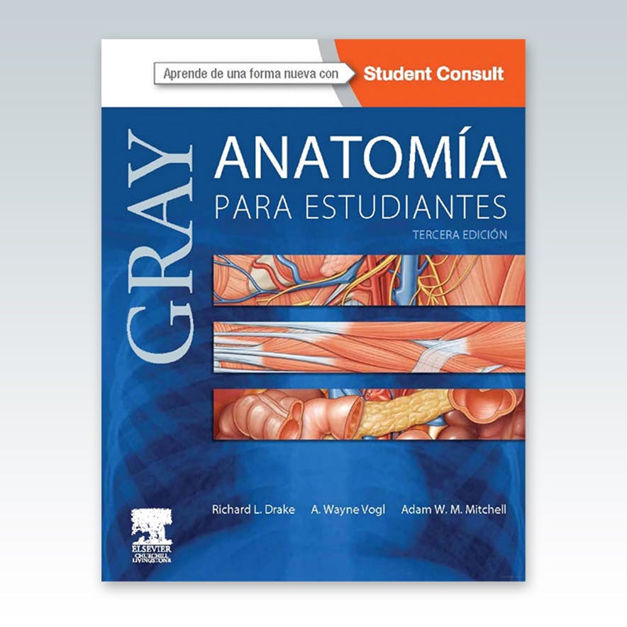 Anatomía estudiantes