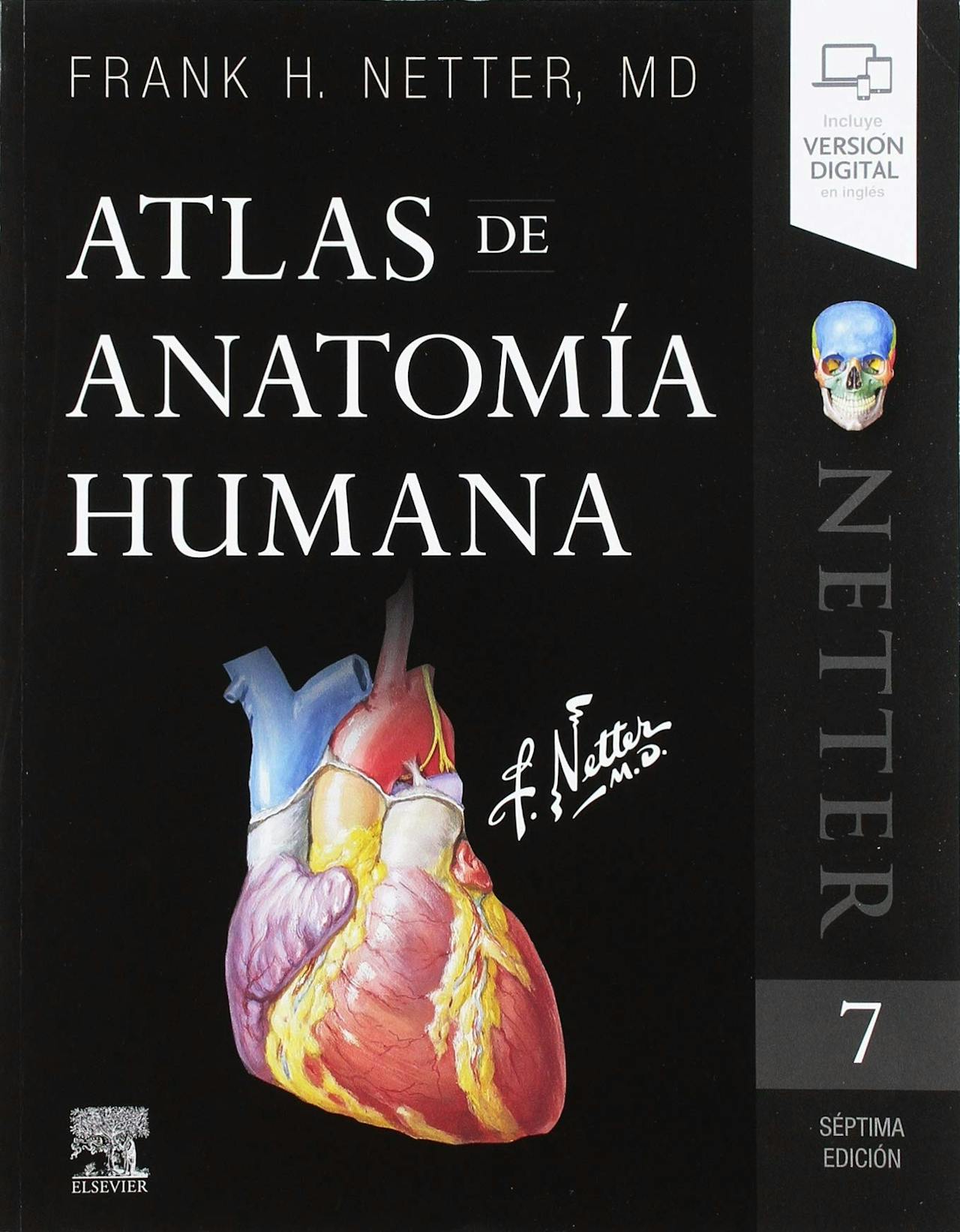 Atlas Anatomía Humana Netter