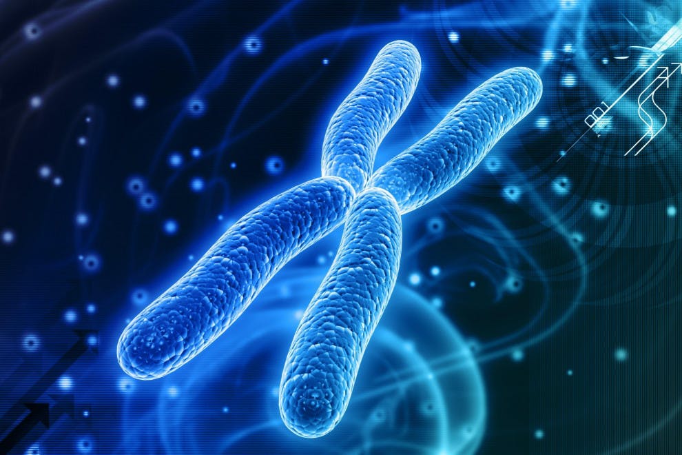 Tipos anomalías cromosómicas