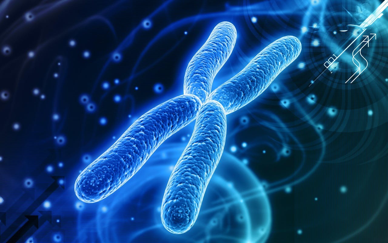 Qué son cromosomas