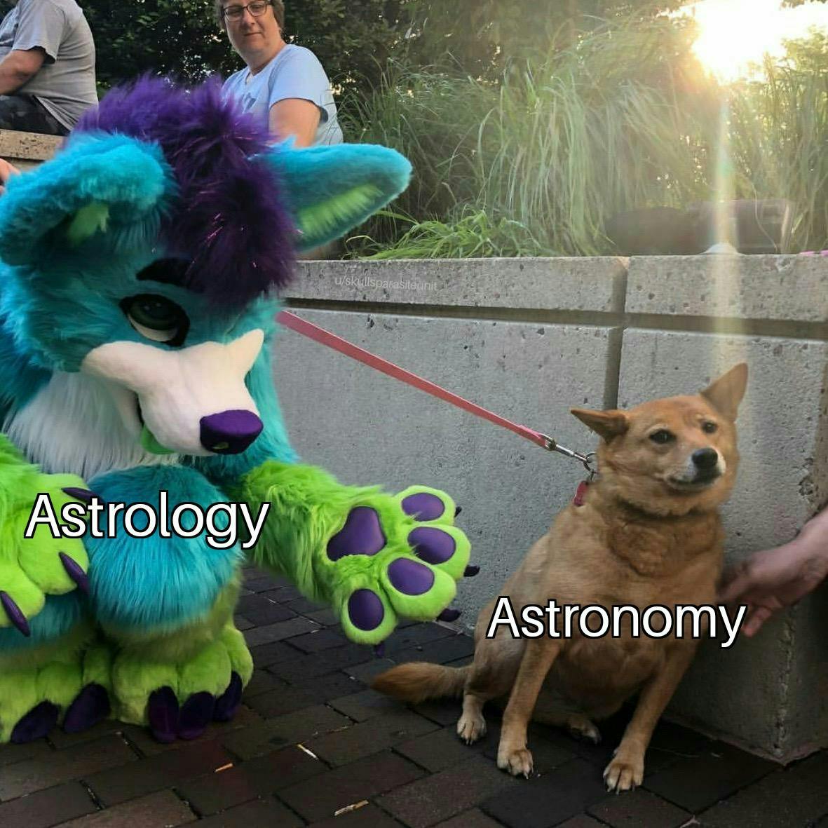 Astrología astronomía meme