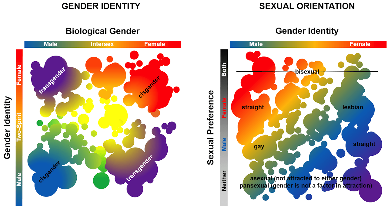Género sexo