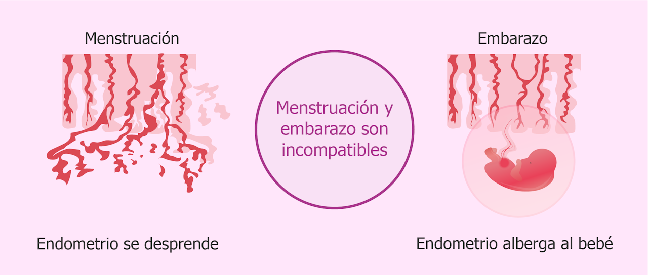 Menstruación implantación