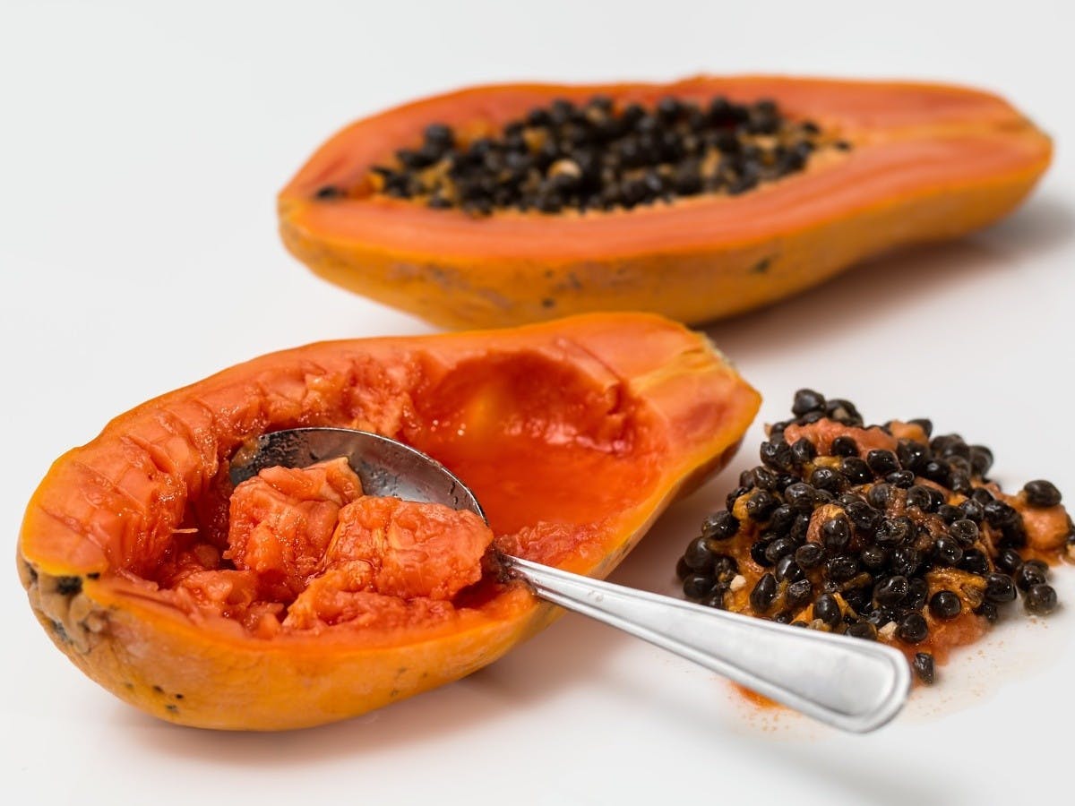 Puré papaya