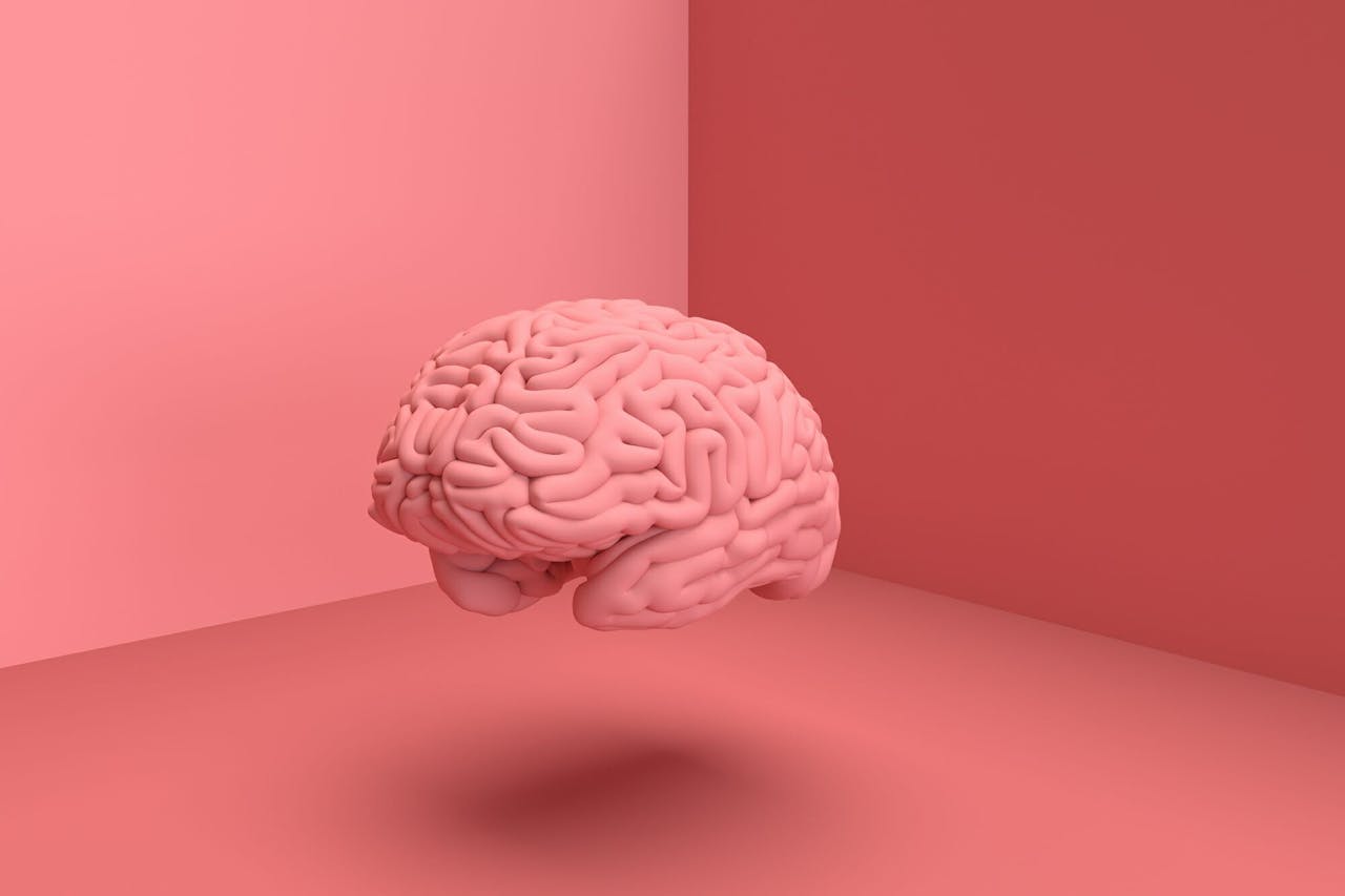 cerebro-alimentacion