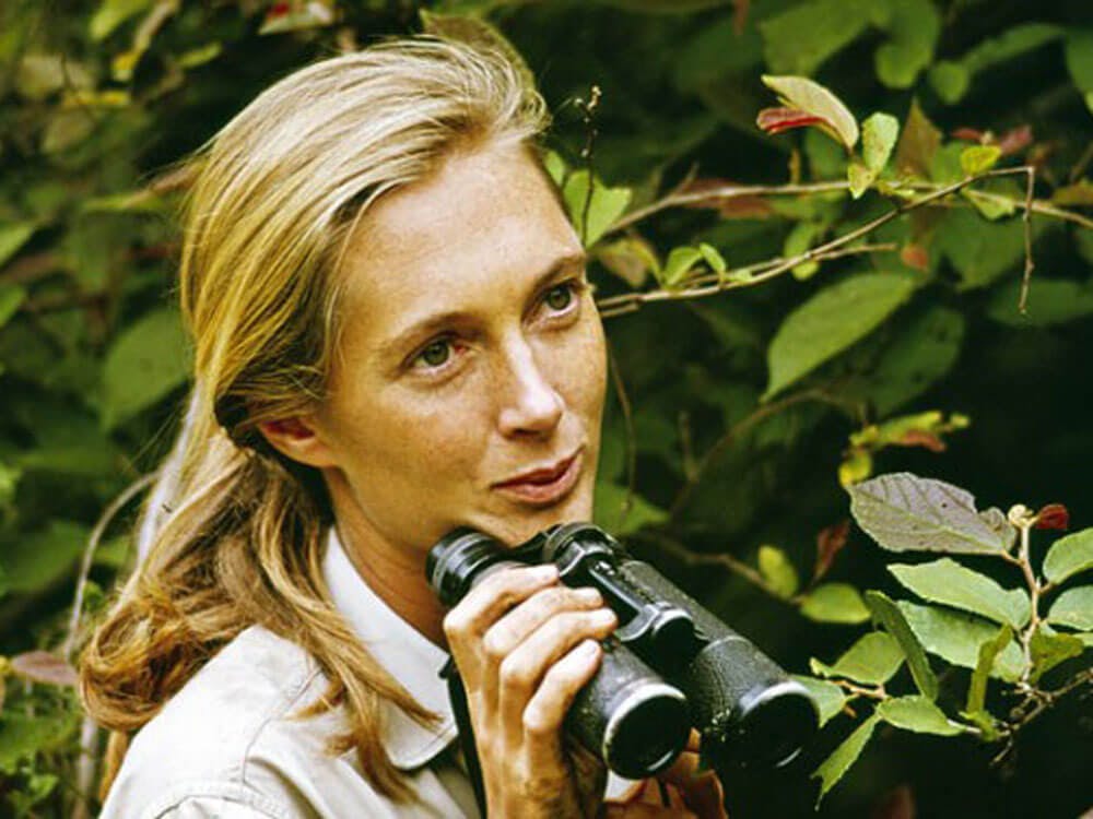 Jane Goodall primer viaje