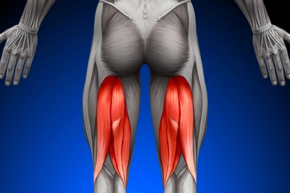 Músculos isquiotibiales